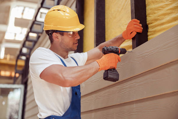 Best Brick Veneer Siding  in Fort Ashby, WV